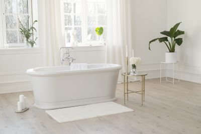 Elegant Bathtub Design